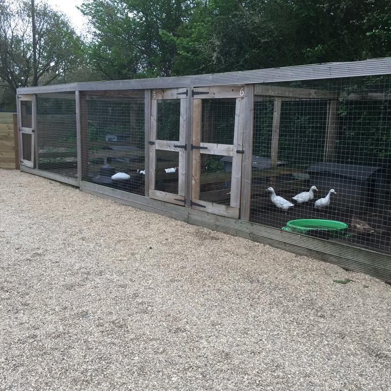 Willow Court Farm The Lodge & Petting Farm, 8 Mins From Legoland & Windsor, 15 Mins From Lapland Uk Exterior foto