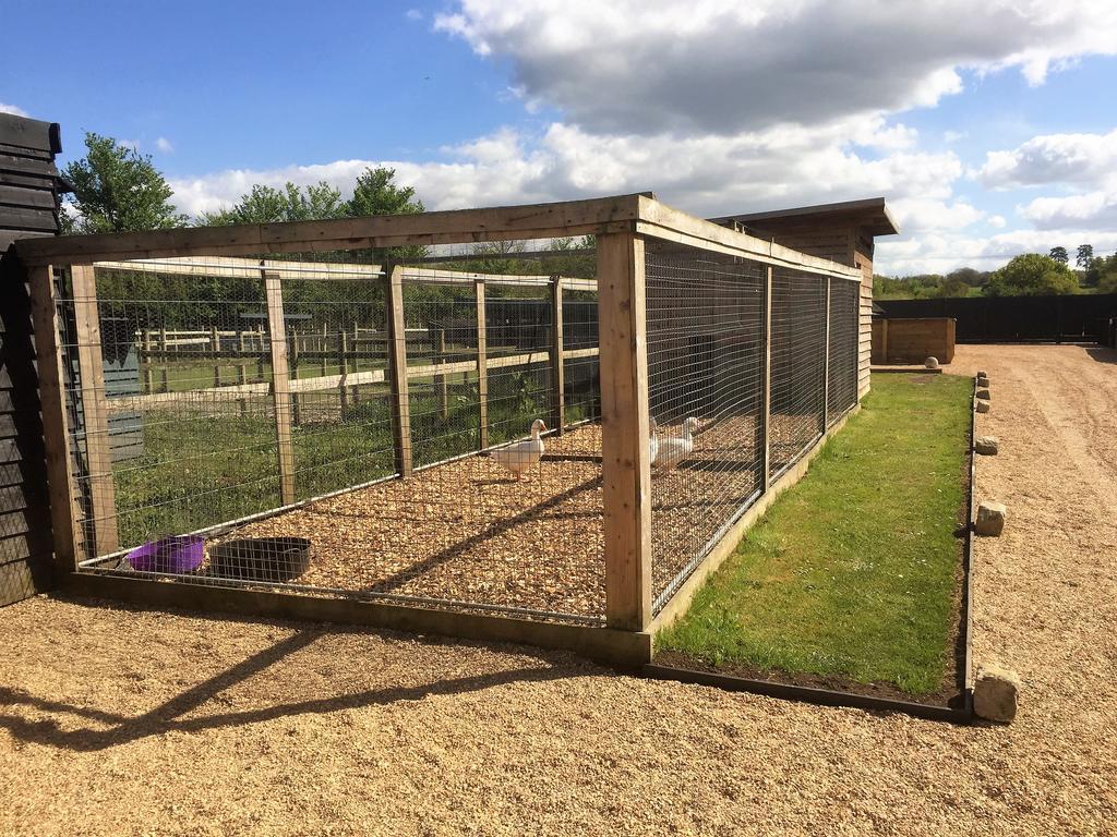 Willow Court Farm The Lodge & Petting Farm, 8 Mins From Legoland & Windsor, 15 Mins From Lapland Uk Exterior foto